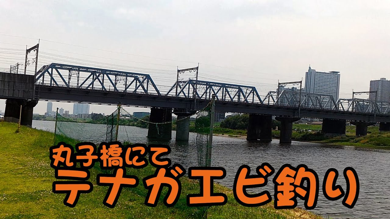 丸子橋にてテナガエビ釣り Youtube 丸子橋にてテナガエビ釣り Youtube