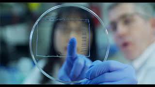 Neil Kelleher's Lab: Studying Top Down Proteomics