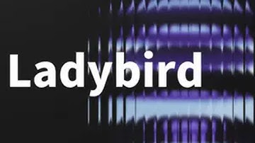 做浏览器要花几个亿？？？有人表示不服气 谷歌 火狐 Chrome 浏览器 电脑