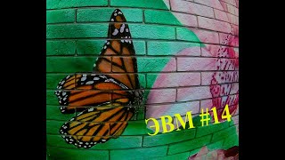 видео: Э.В.М. #14 картинка: Э.В.М. #14