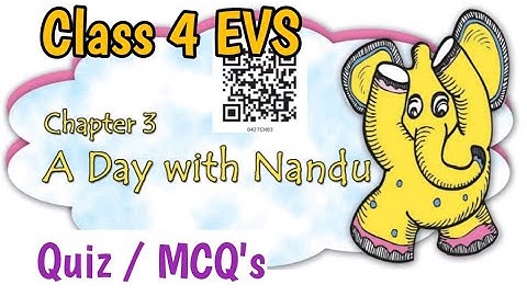 A Day With Nandu Quiz | Class 4 EVS Chapter 3 | NCERT Class 4 evs MCQ