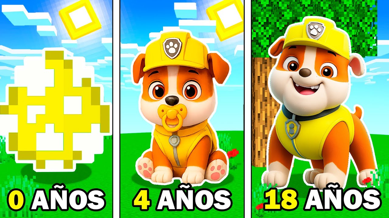 😱 EVOLUCIÓN RUBBLE de Paw Patrol en MINECRAFT!
