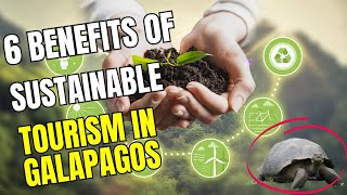 6 Transformative Benefits of Sustainable Tourism in the Galapagos Islands