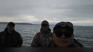 видео: Хөвсгөл аймаг. Дархадын хотгор Зүүн тайга. 1 р хэсэг.  Mongolia. Khuvsgul province. Eastern taiga. картинка: Хөвсгөл аймаг. Дархадын хотгор Зүүн тайга. 1 р хэсэг.  Mongolia. Khuvsgul province. Eastern taiga.