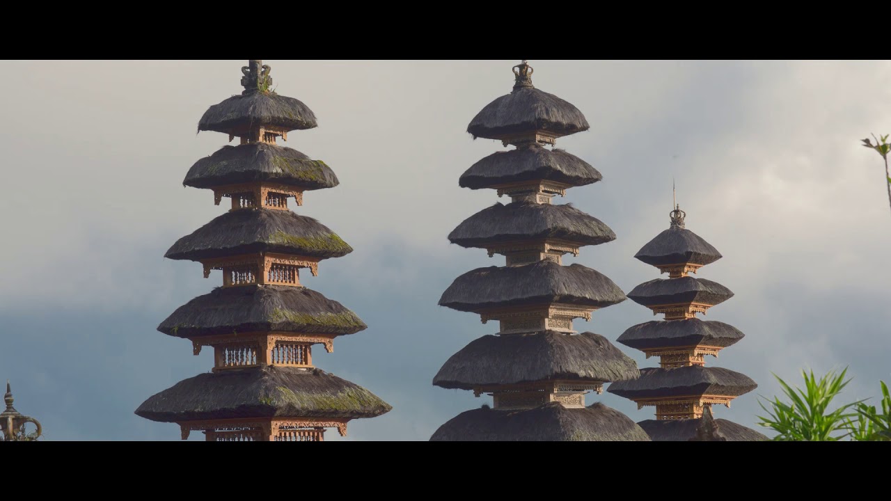 SOHA School of Healing Arts Yoga Teacher Training