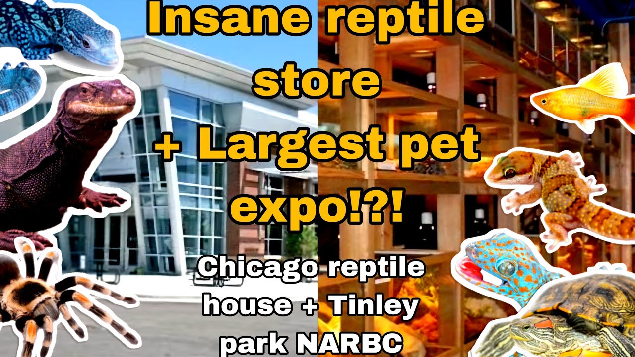 LARGEST PET EXPO + INSANE PET STORE TOUR!! (Tinley Park NARBC pt 2 and
