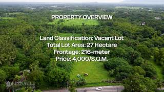 Property For Sale In Ibaan, Batangas
