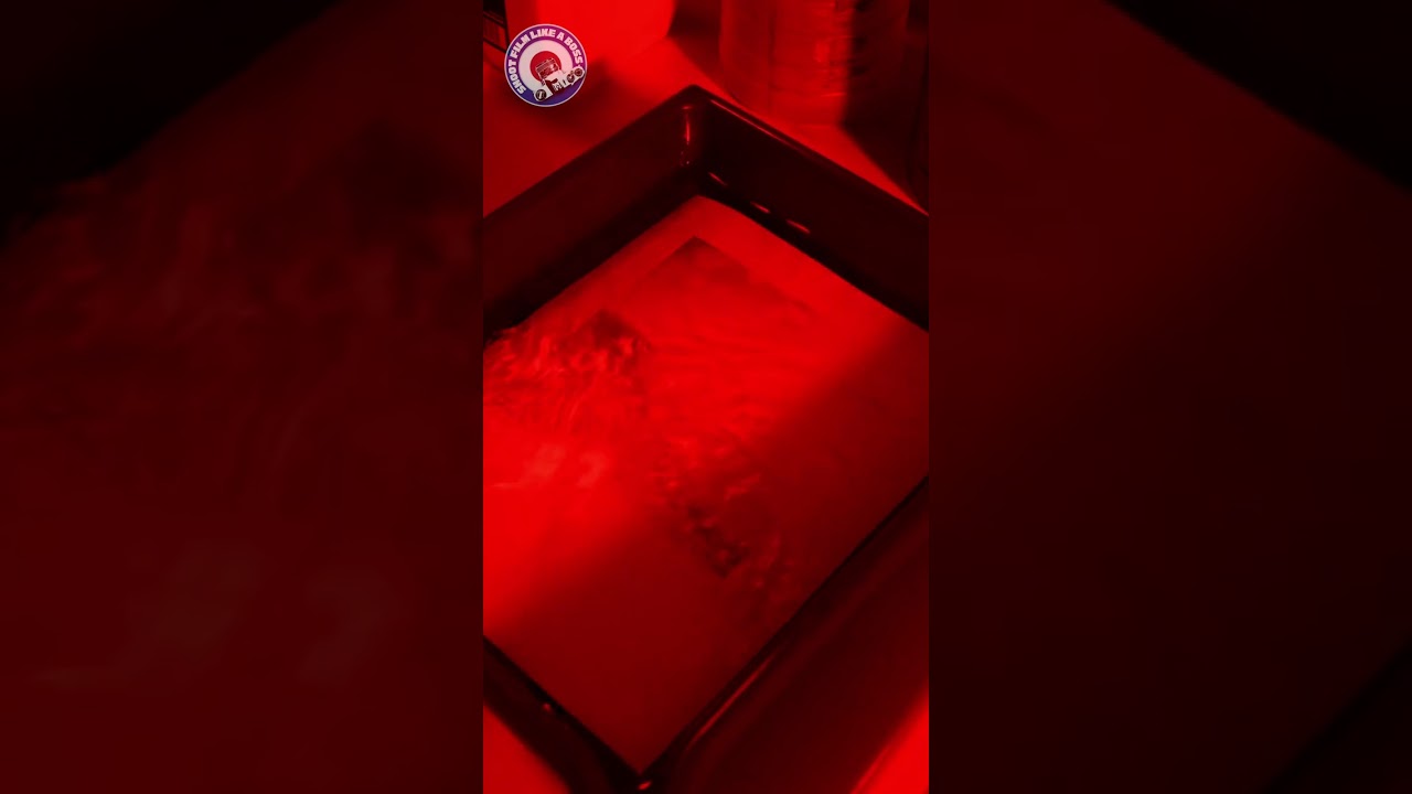 Holga 120n shoot & Darkroom Prints