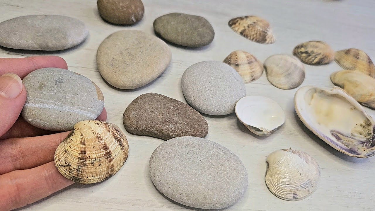 Look what I made from the stones and seashells I collected on the beach!