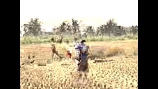 samsul.mp4