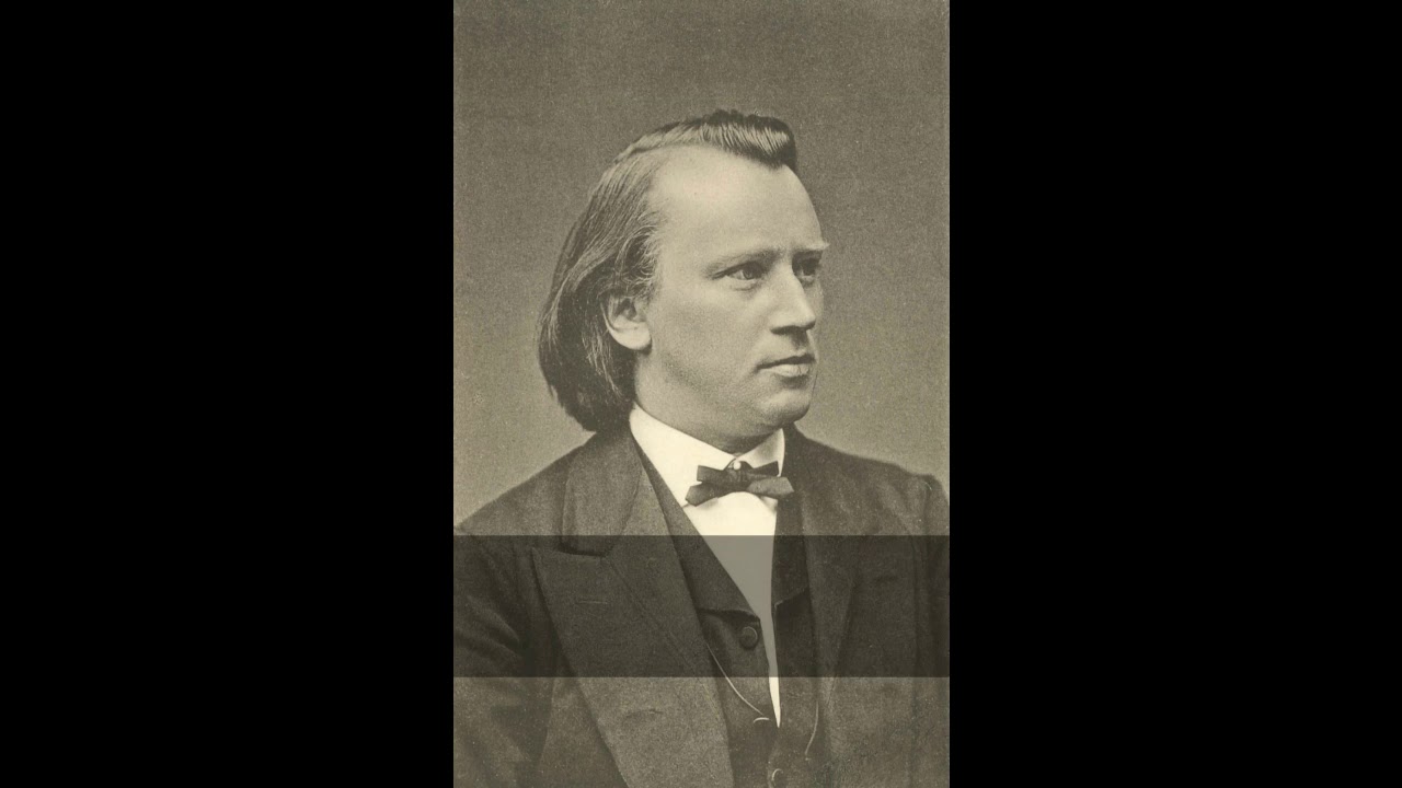 BRAHMS Sonate f-moll op.5 - Michael Leuschner