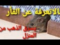 الفأر الذي سرق الذهب من بيت العلامة ابن عثيمين رحمه الله 