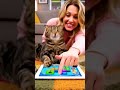 #cats #cat #cat #spanishcatholic #catvideos #petlovers #animallovers #funny #cuteanimal #kitten