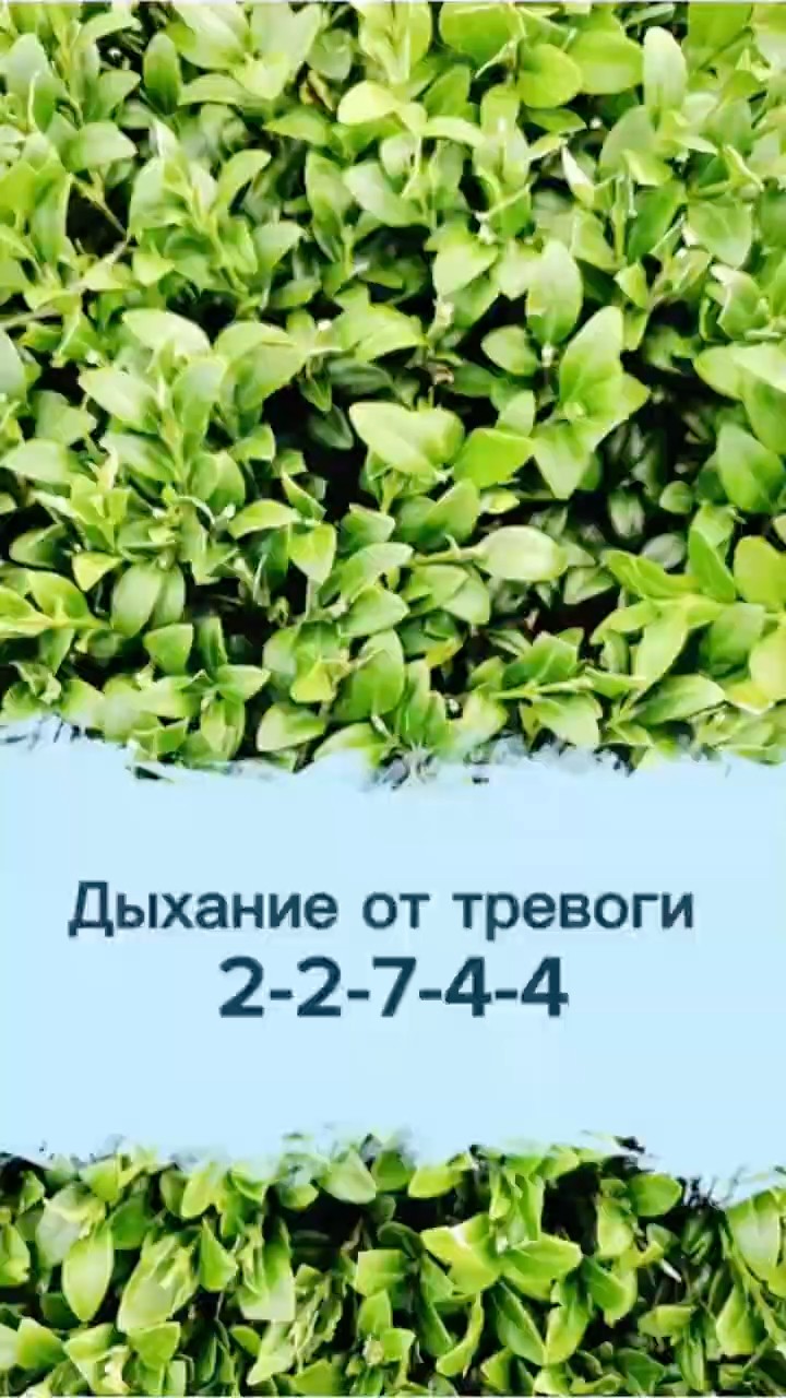 Дыхание от тревоги