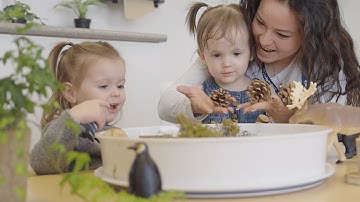 BeeCurious Curriculum Framework