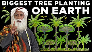 Sadhguru&#39;s Plan to plant 2.42 BILLION trees