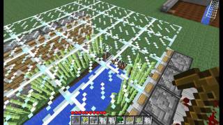 [Tutoriel] Minecraft - Agriculture automatisée, et semi-automatisée