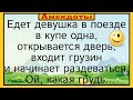 Девушка и грузин, одни в купе... Подборка смешных жизненных анекдотов. Лучшие веселые анекдоты