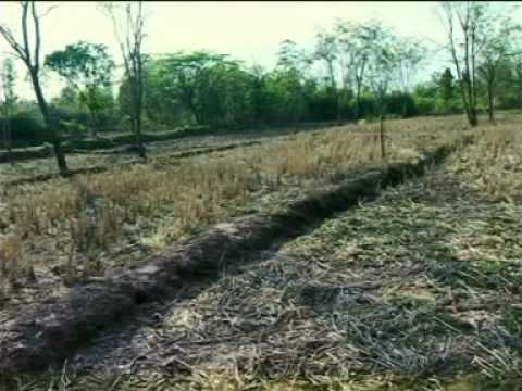 เกษตรทฤษฎีใหม่ ตอนที่ 1/4