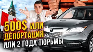 500 $ или Депортация из Канады! Не будь как Мыкола!!!