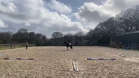 Bethany Riding Belle on British Dressage Test Intro 3 (2024)