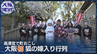 Enchanting! Surrounded by cherry blossoms in full bloom—the first