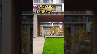 🇸🇰 Slnečnice Bratislava #slovakiabratislava #darknomad #slnecnice