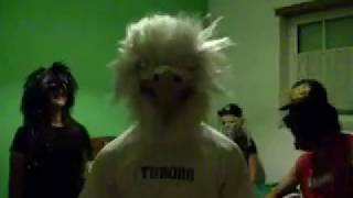 Harlem shake