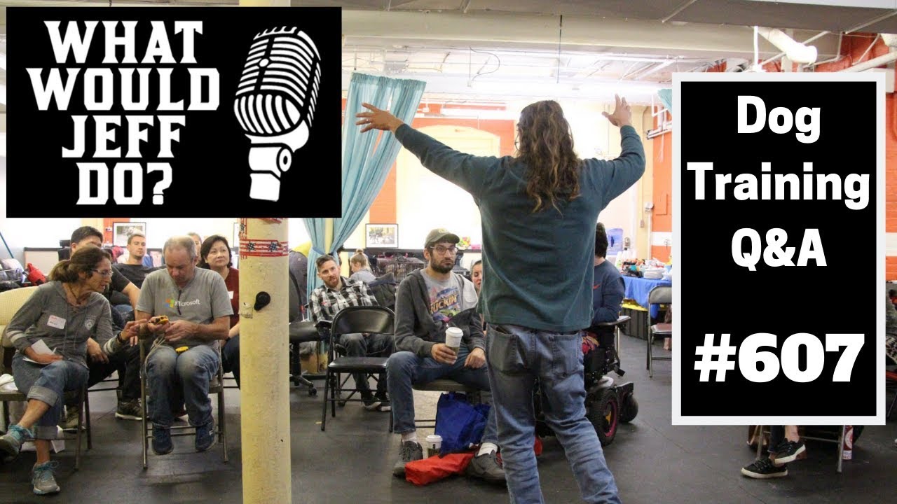 Dog Training Dog Prong Collar Training Dog Aggression What Would