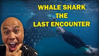 WHALE SHARK -  THE  LAST ENCOUNTER 4K