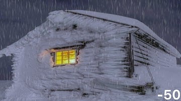 Surviving a Deadly Blizzard | -50°C Snowstorm and wolves, I