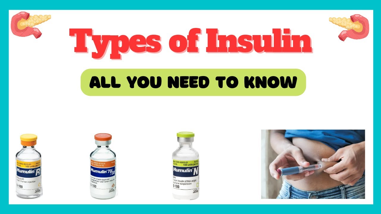 Types Of Insulin Different Types Of Insulin Short Acting Insulin 