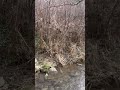 Wanderung: Maria Taferl - Steinbachklamm