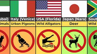 Feeding These Animals Is Illegal (By Country) Net Worth