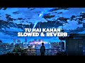 TU HAI KAHAN SONG [ Slowed &amp; Reverb ]