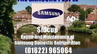 Samsung Fridge Freezer Repair Sidcup 01622 965064