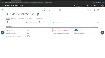 Business Central short video: Use alternative posting groups for employees