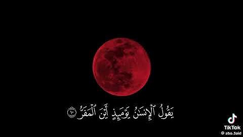 سورة القيامة ياسر الدوسري