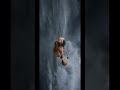 #hanuman #spirituality #blender #jaishreeram #hanumanji #viral #trending #trendingshorts #reels
