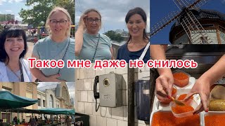 :       /  /@zvezdamojaludi