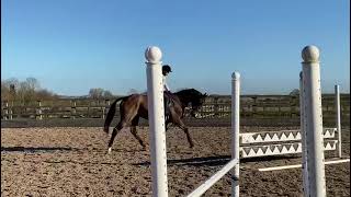 Ad ref 272274 Video 1