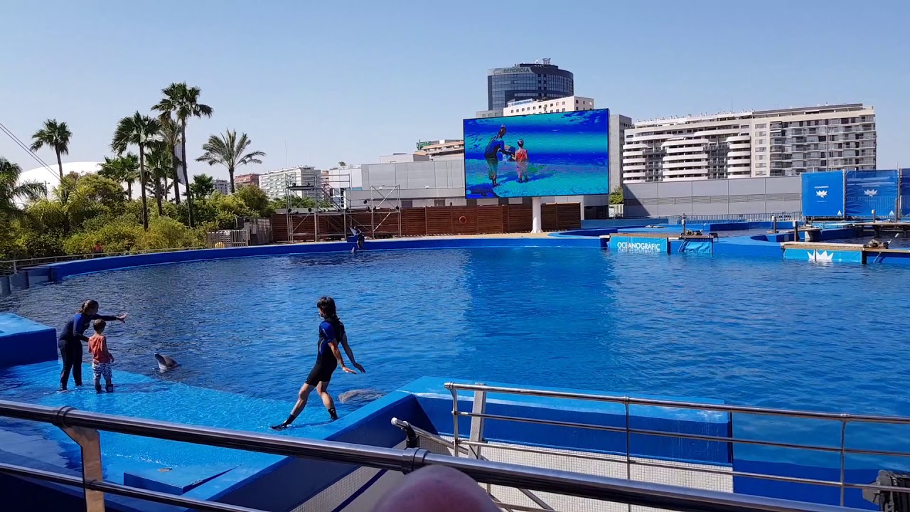 Walencja Oceanografic