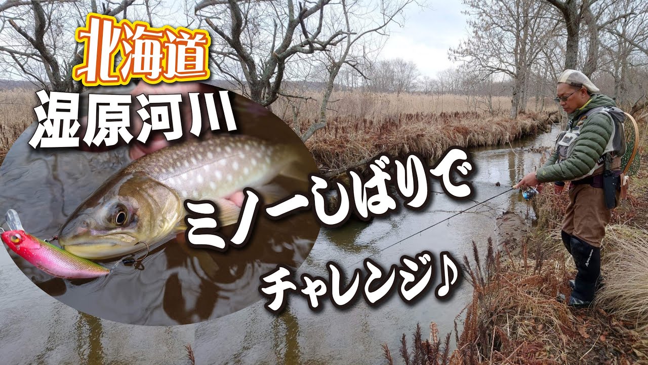 【北海道湿原河川】ミノーしばりでチャレンジ♪ - YouTube