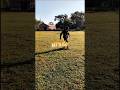 1v1~ AMAZING~SKILL☠️🔥💯 #footballshorts #footballskills #footballedits #cristianoronaldo #shorts