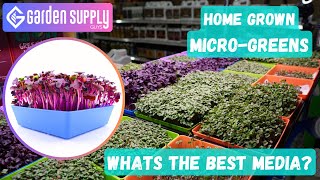 Microgreens GALORE: 4 Media Types for Beginners