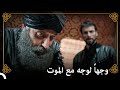 اغتيال السلطان سليمان التاريخ العثماني