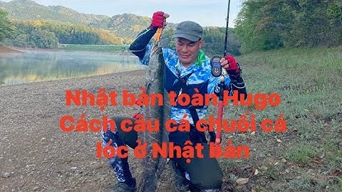 câu lure cá lóc _ truy tìm những con cá lóc khủng #toán #trung Fishing #lure #fishing