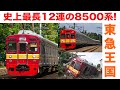 【史上最長の東急12連！インドネシアの8500系！】爆音モーター健在、8000系混結編成有り！2020年度総集編 Kompilasi KRL Seri Tokyu 8000&8500 in 2020!