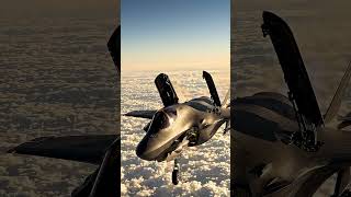 Golden Strike #usmilitarycombat #stealth #fighterjets #aircraft