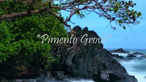 Pimento Grove (Afterhours Ibiza) Dale Anderson & A...